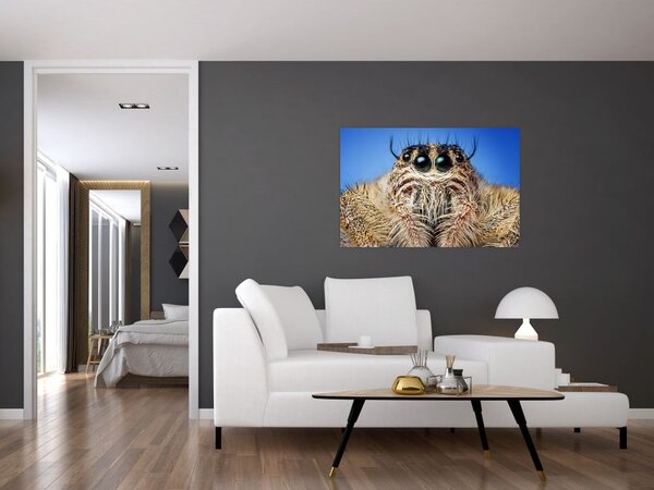 Tablou cu detalii a unui pâianjen (90x60 cm)