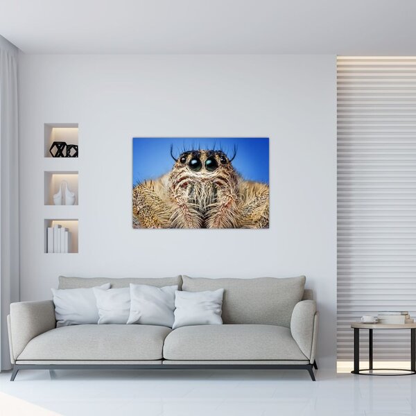 Tablou cu detalii a unui pâianjen (90x60 cm)