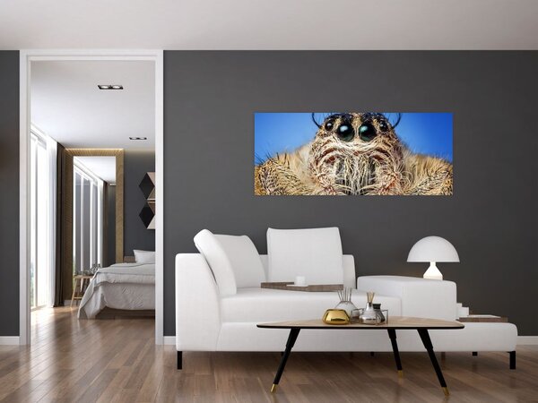 Tablou cu detalii a unui pâianjen (120x50 cm)