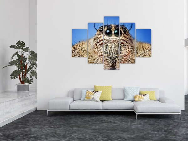 Tablou cu detalii a unui pâianjen (150x105 cm)