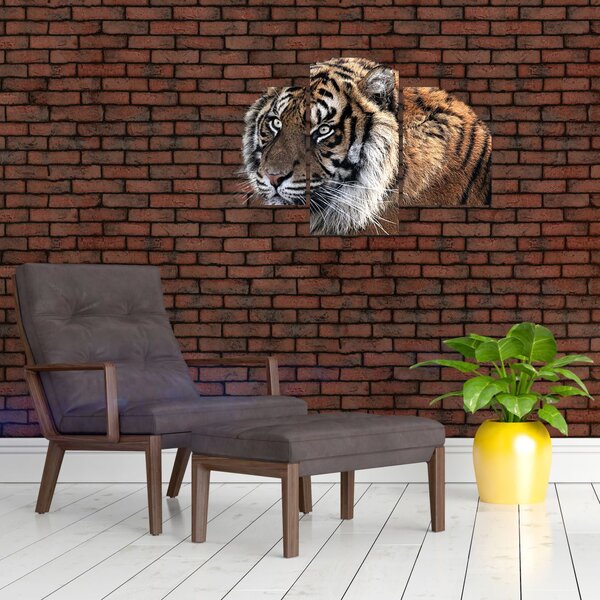 Tablou cu tigrul (90x60 cm)