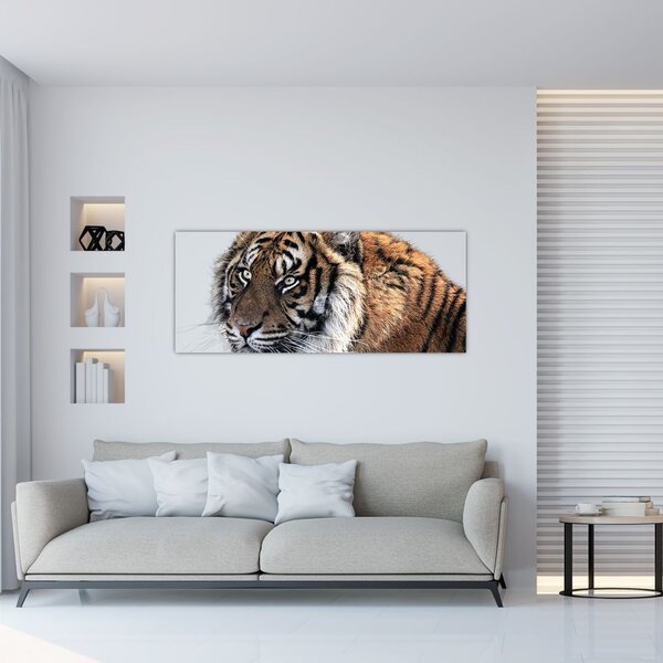 Tablou cu tigrul (120x50 cm)