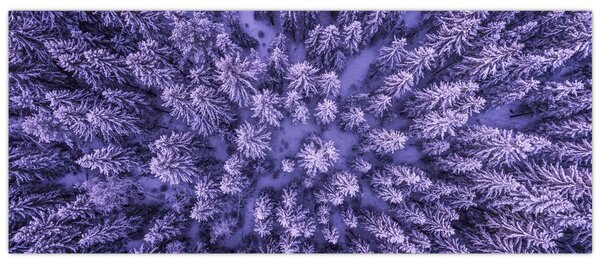 Tablou cu copacii înzăpeziți (120x50 cm)