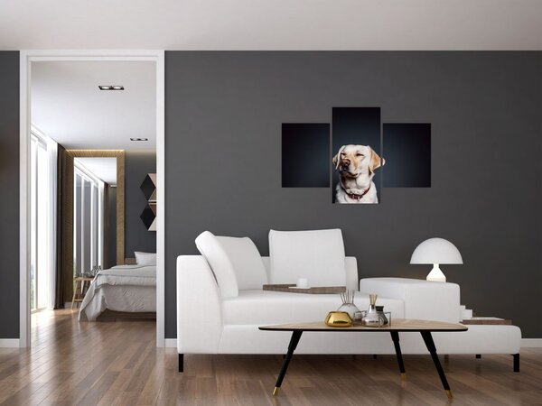 Tablou cu labrador (90x60 cm)