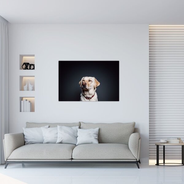 Tablou cu labrador (90x60 cm)
