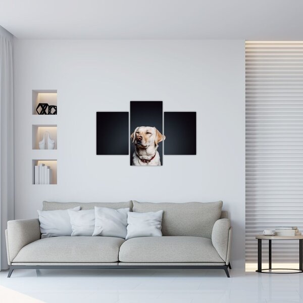 Tablou cu labrador (90x60 cm)