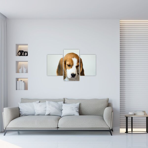 Tablou cu bigl (90x60 cm)