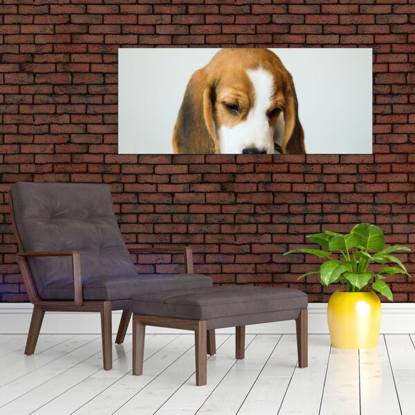 Tablou cu bigl (120x50 cm)
