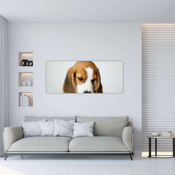 Tablou cu bigl (120x50 cm)
