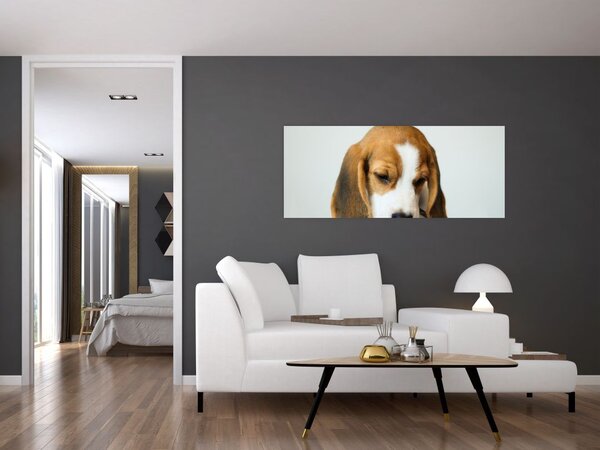 Tablou cu bigl (120x50 cm)
