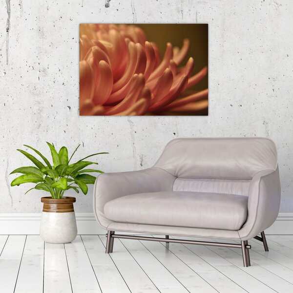 Tablou cu detailu florii (70x50 cm)