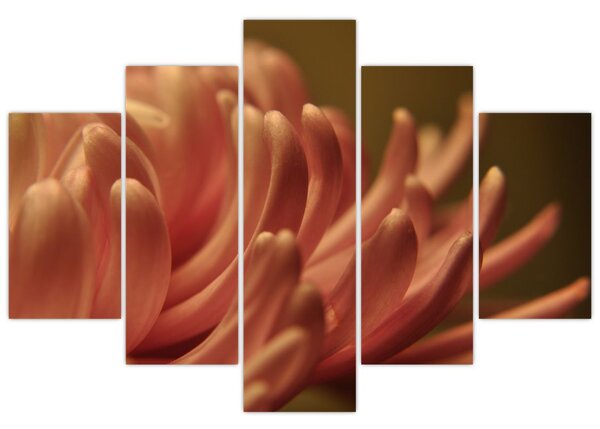 Tablou cu detailu florii (150x105 cm)