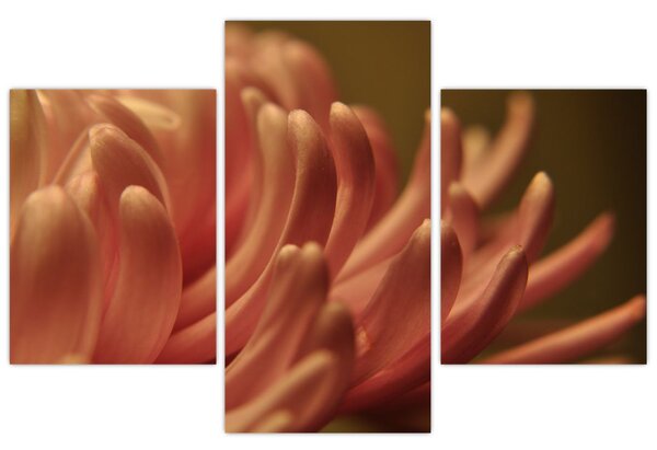 Tablou cu detailu florii (90x60 cm)