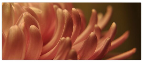 Tablou cu detailu florii (120x50 cm)