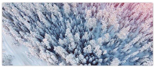 Tablou cu copaci înzăpeziți (120x50 cm)