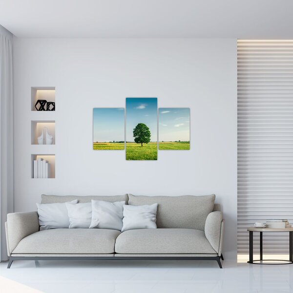 Tablou cu copaci pe luncă (90x60 cm)