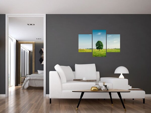 Tablou cu copaci pe luncă (90x60 cm)