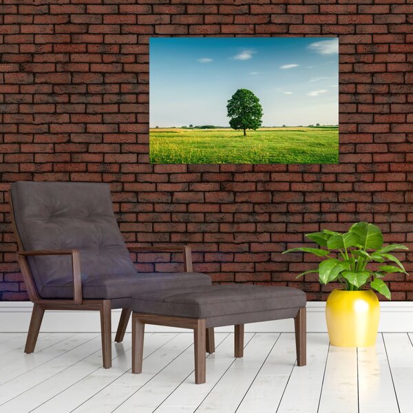 Tablou cu copaci pe luncă (90x60 cm)