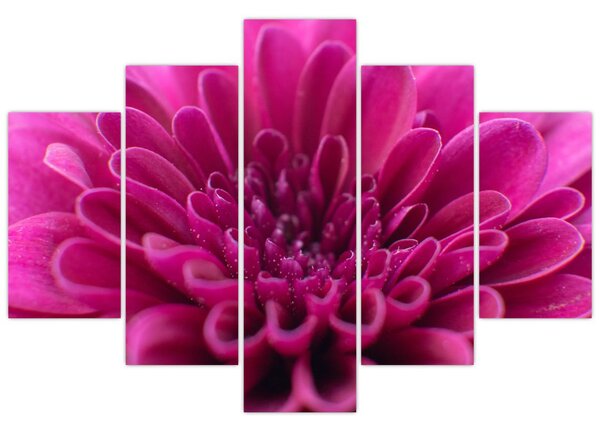 Tablou cu floare (150x105 cm)