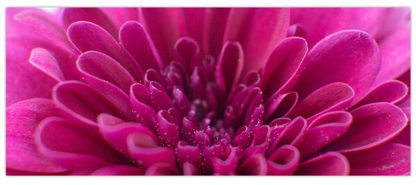Tablou cu floare (120x50 cm)