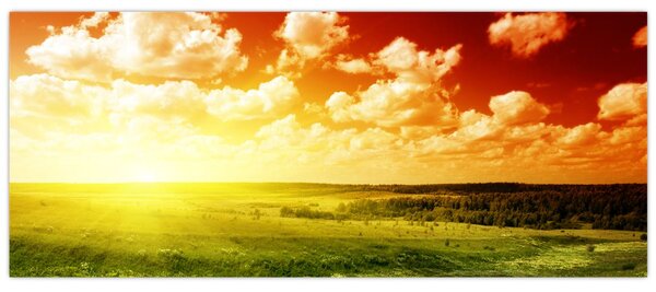 Tablou cu luncă cu soarele strălucitor (120x50 cm)