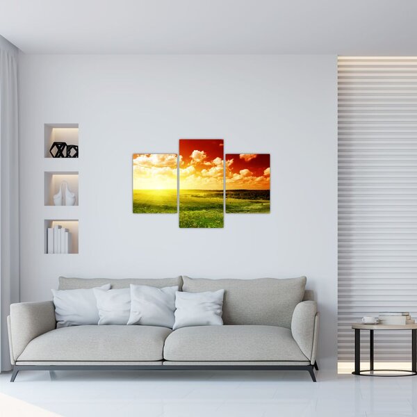 Tablou cu luncă cu soarele strălucitor (90x60 cm)
