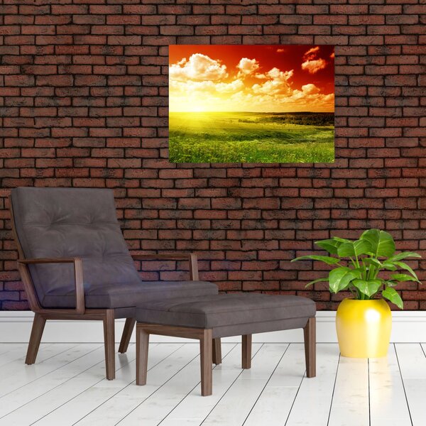 Tablou cu luncă cu soarele strălucitor (70x50 cm)