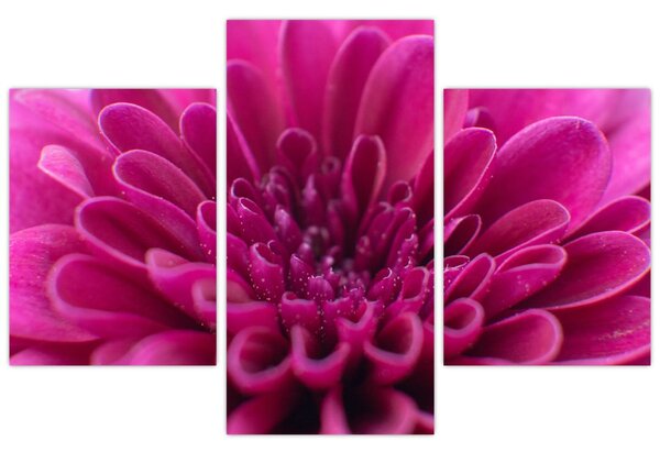 Tablou cu floare (90x60 cm)