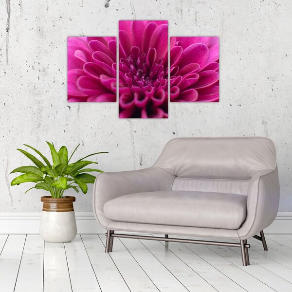 Tablou cu floare (90x60 cm)