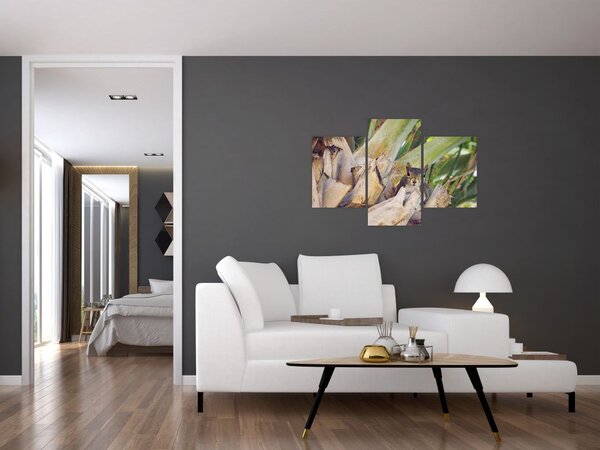 Tablou cu veverița în copaci (90x60 cm)