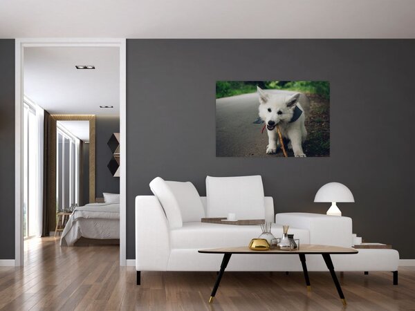 Tablou cu câinele alb (90x60 cm)