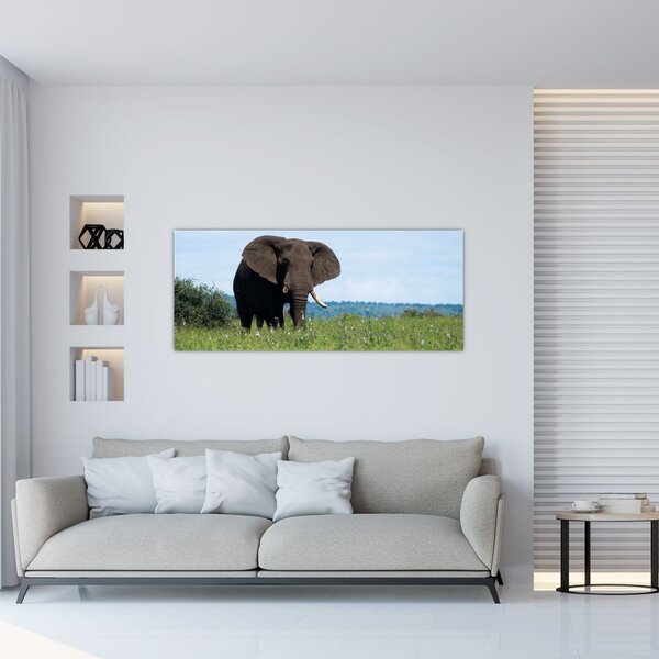 Tablou cu elefant (120x50 cm)