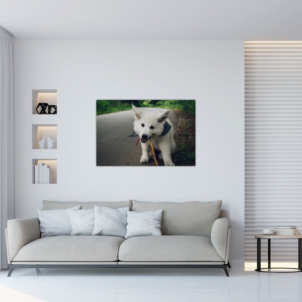 Tablou cu câinele alb (90x60 cm)
