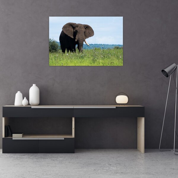 Tablou cu elefant (90x60 cm)