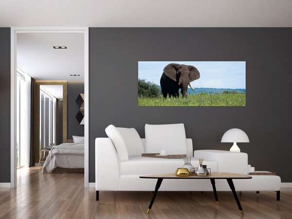 Tablou cu elefant (120x50 cm)