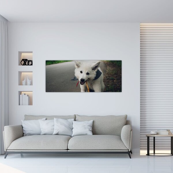 Tablou cu câinele alb (120x50 cm)