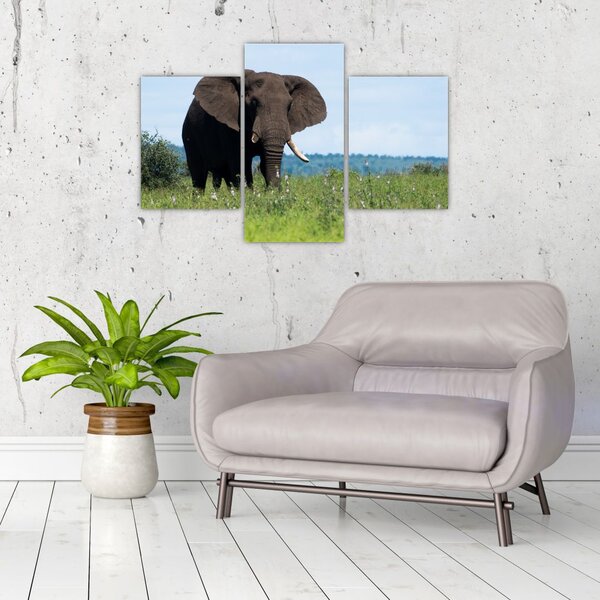 Tablou cu elefant (90x60 cm)