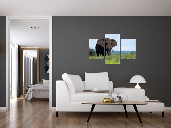 Tablou cu elefant (90x60 cm)