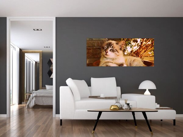Tablou cu pisica în ghiveci (120x50 cm)