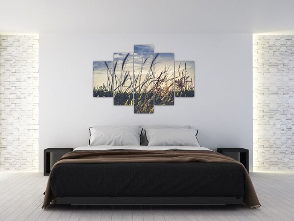 Tablou cu flori de câmp (150x105 cm)