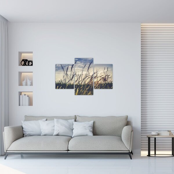 Tablou cu flori de câmp (90x60 cm)