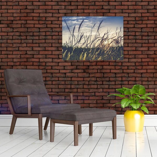 Tablou cu flori de câmp (70x50 cm)