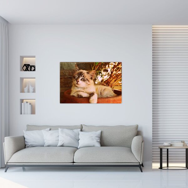 Tablou cu pisica în ghiveci (90x60 cm)