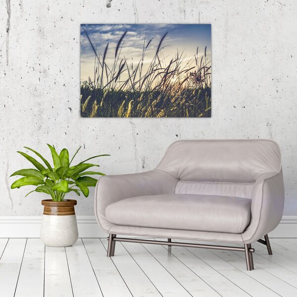Tablou cu flori de câmp (70x50 cm)