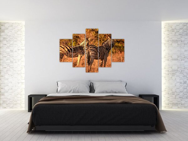 Tablou cu zebre (150x105 cm)