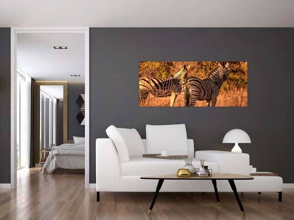 Tablou cu zebre (120x50 cm)