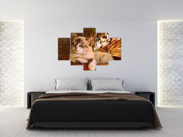 Tablou cu pisica în ghiveci (150x105 cm)