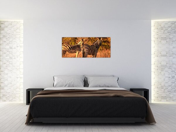Tablou cu zebre (120x50 cm)