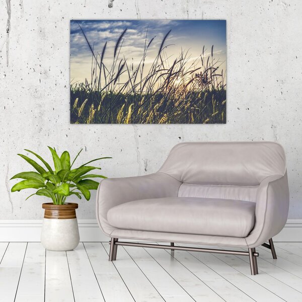 Tablou cu flori de câmp (90x60 cm)