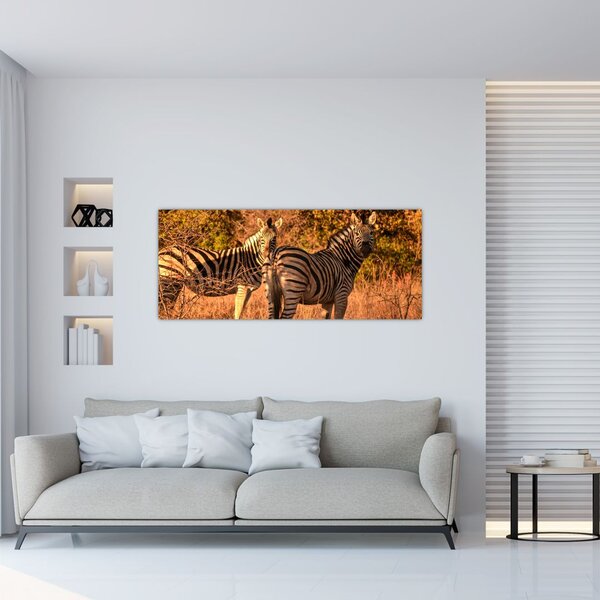 Tablou cu zebre (120x50 cm)